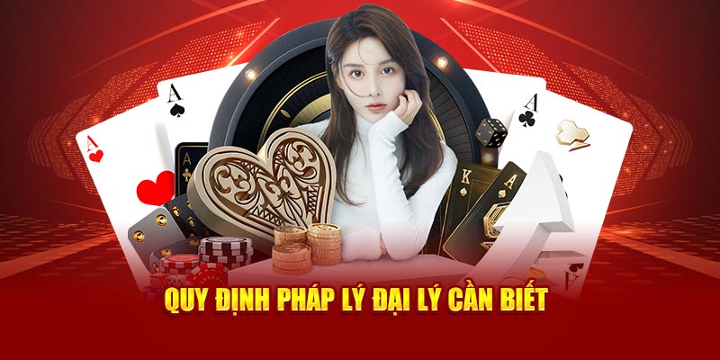Giao diện hệ thống đại lý Nova88 hiện đại, dễ quản lý và theo dõi
