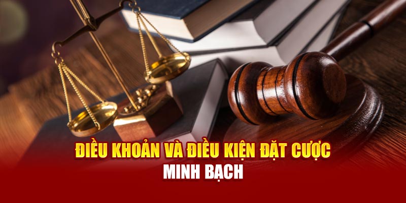 Giới thiệu về điều khoản & điều kiện của Nova88