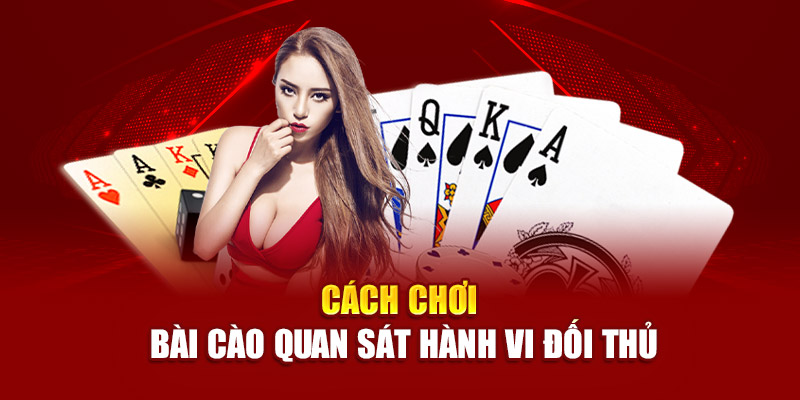 Thuật ngữ cần biết về bài cào để tham gia thành công nhất
