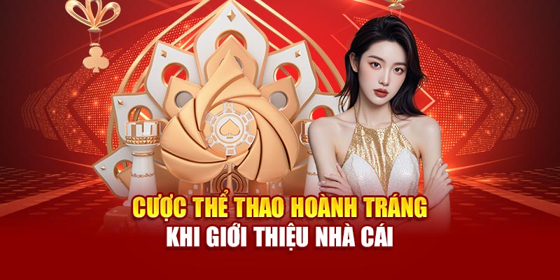 Tổng hợp các dữ liệu Nova88 sẽ thu thập và lưu trữ