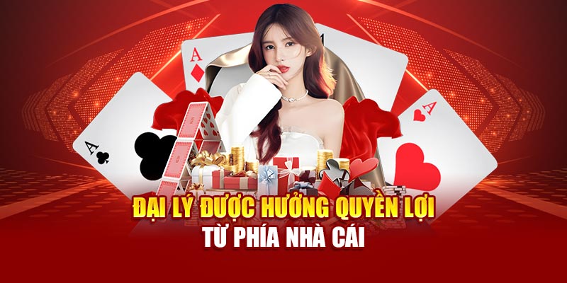 Trang quản lý đại lý Nova88 hiển thị rõ doanh thu, khách đăng ký và hoa hồng